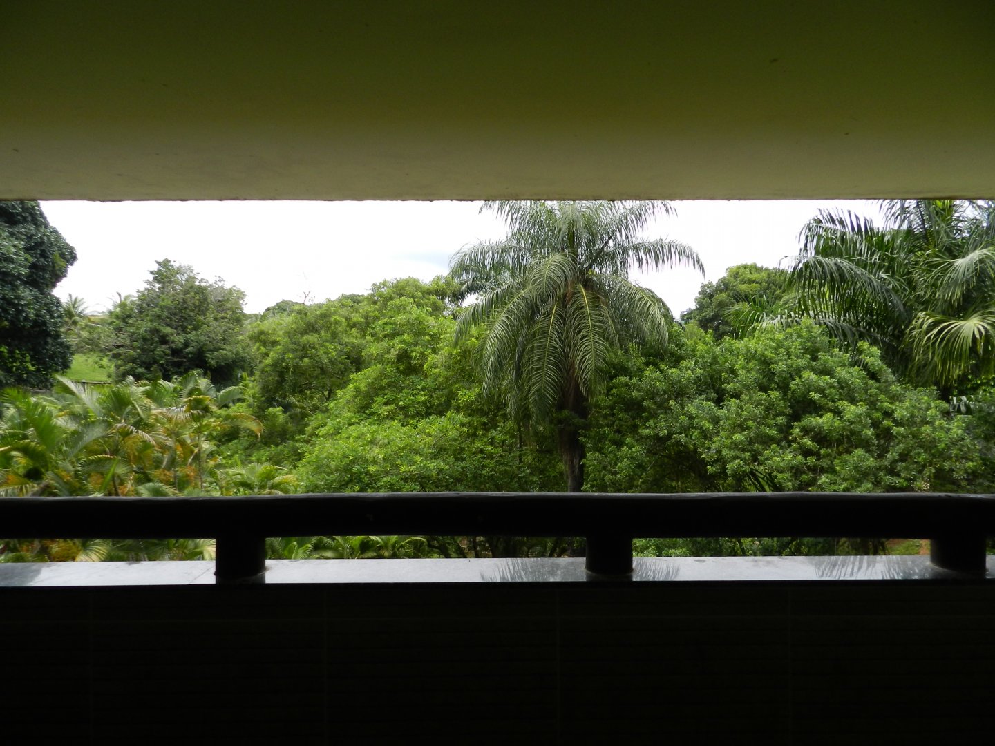 Viewing point - Salvador zoo (PZGV)