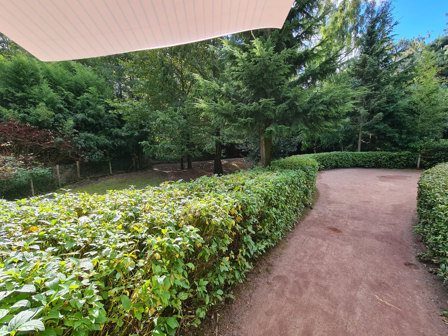 Viewing point to Tapir/Capybara habitat