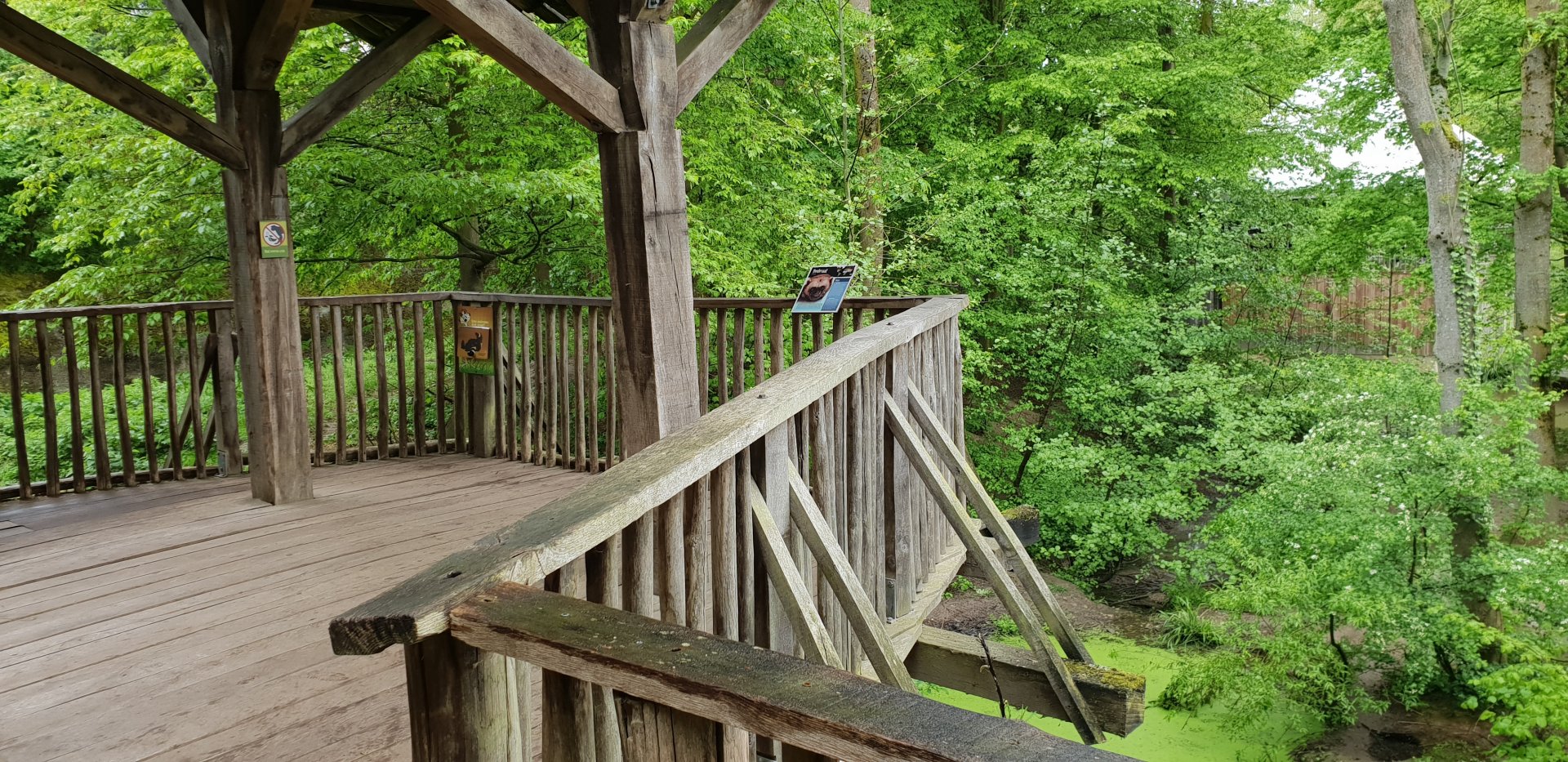 Viewing-point Wolverine-enclosure