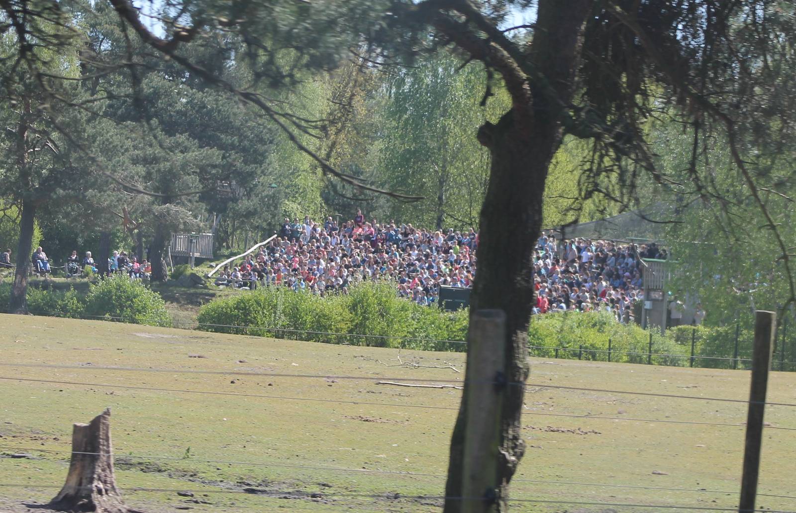 Viewing-public for the bird-show