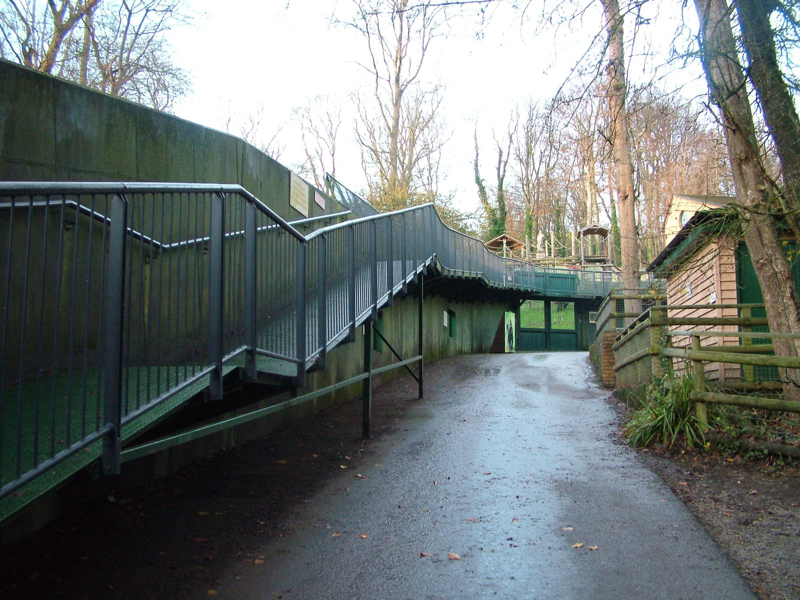 Viewing ramp for Garden of the Apes at Port Lympne 27/11/09