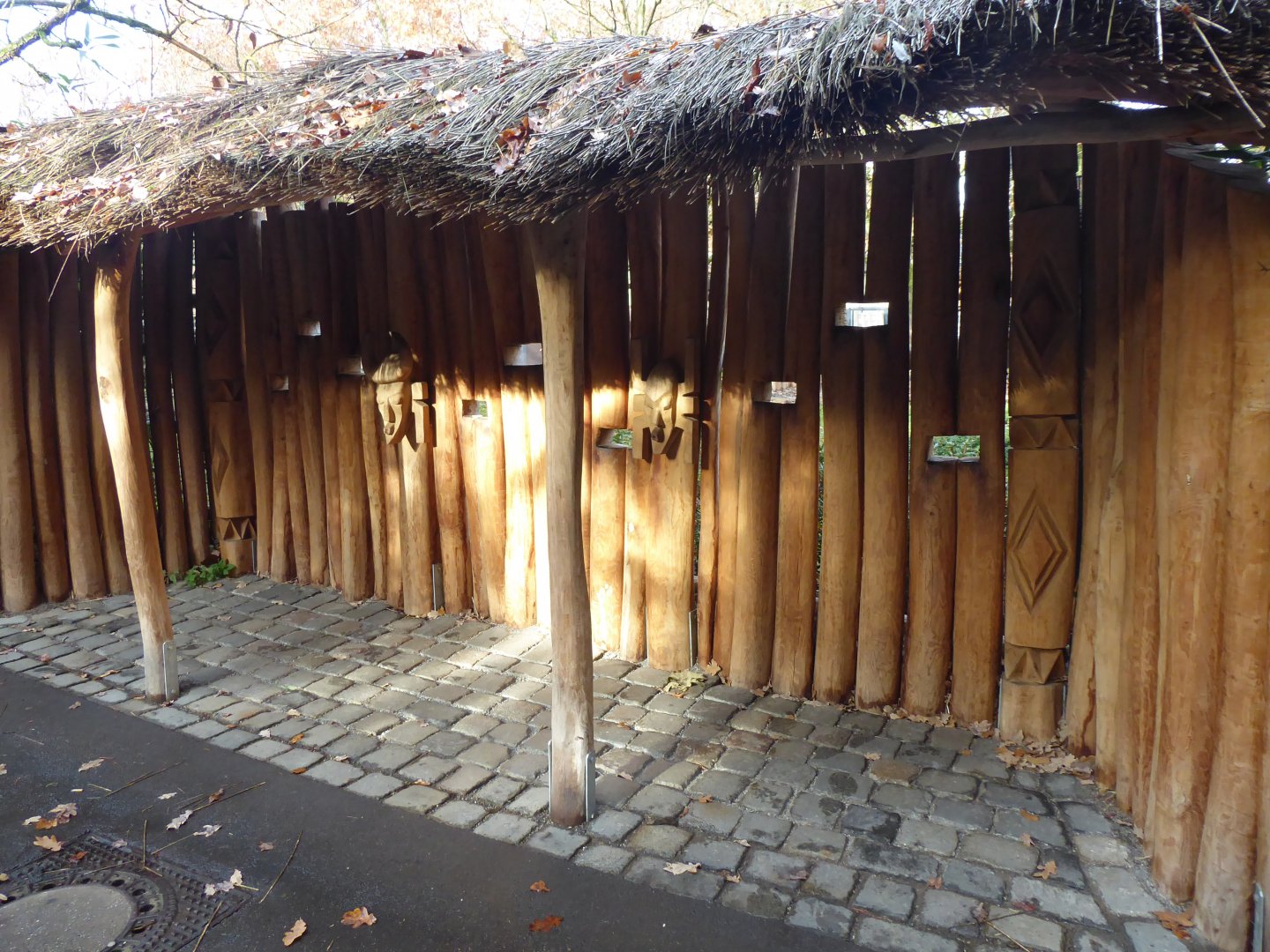 Viewing screen for Bongos 011218