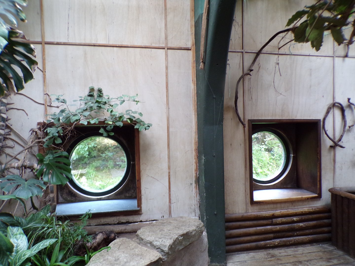 Viewing sections to outdoor enclosures inside monkey house 29.6.24