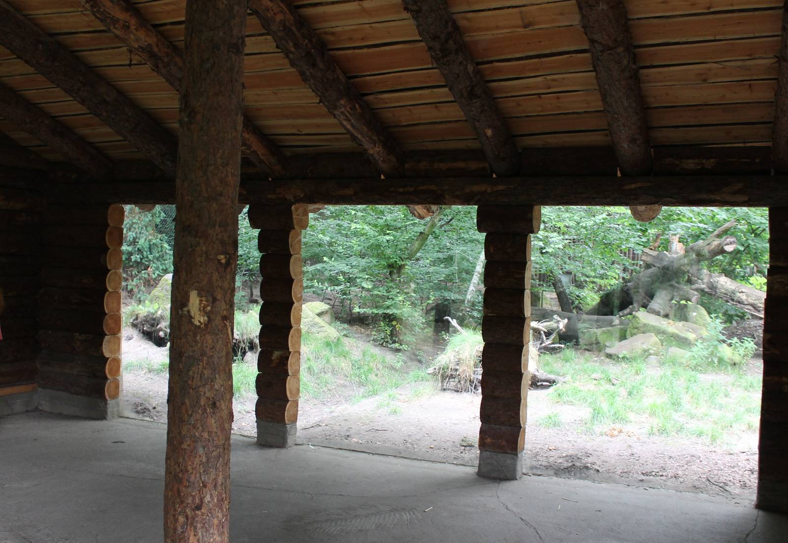 Viewing shed European lynx