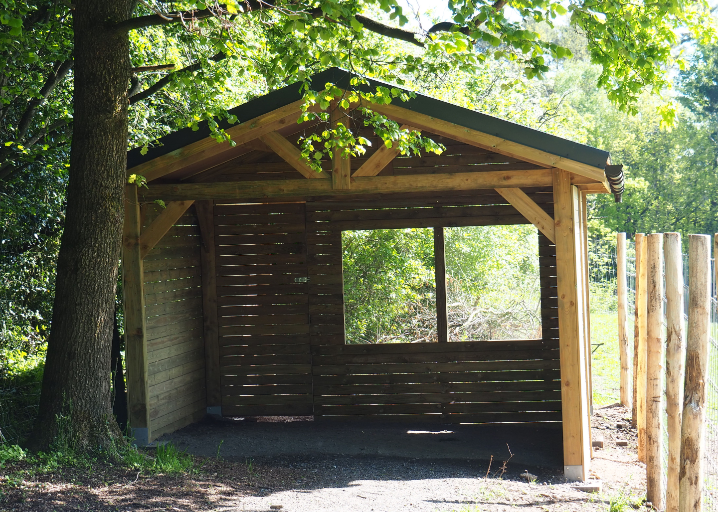 Viewing shelter American Plains bison and Central European red deer paddock, 2021-05-29