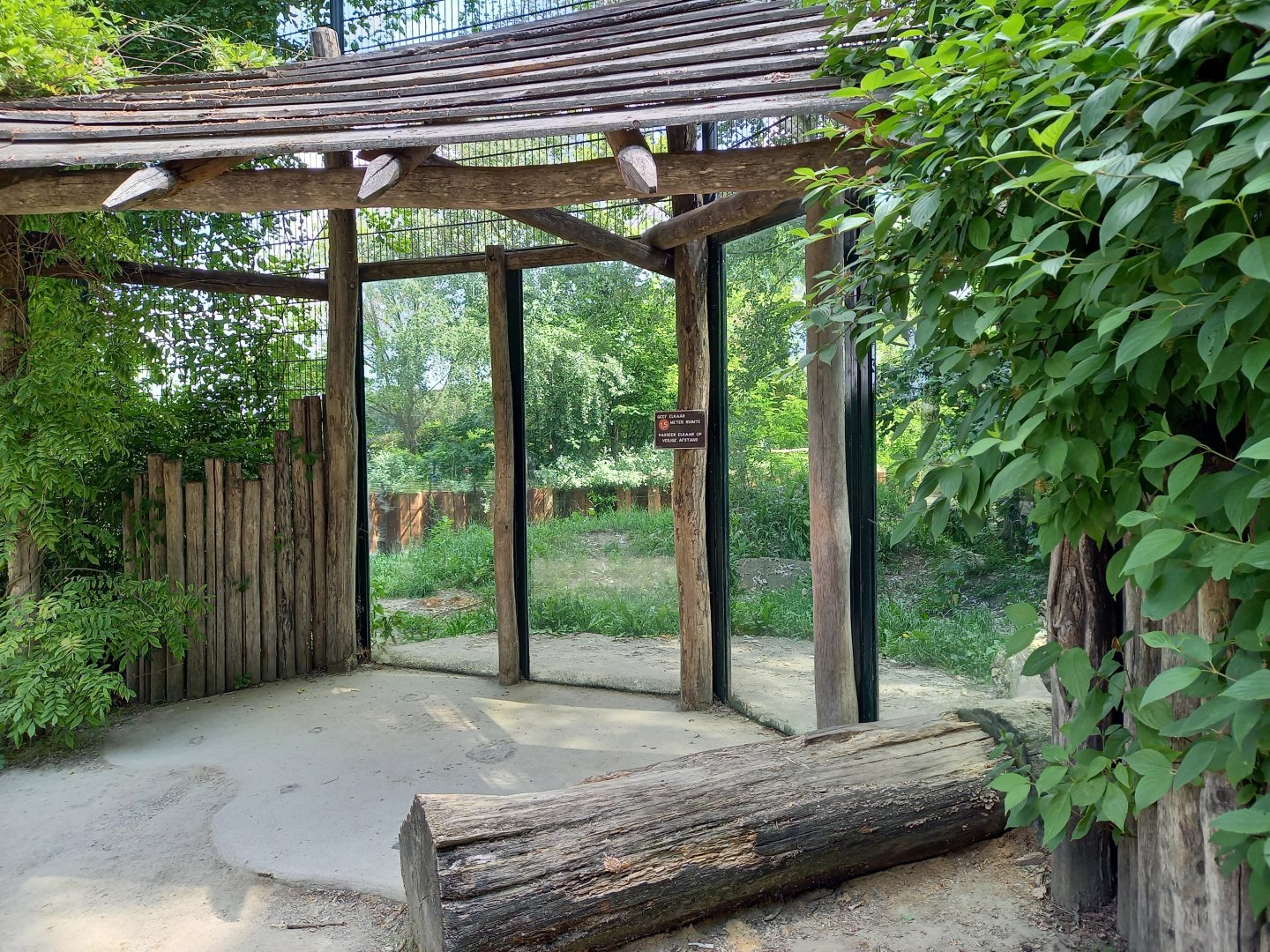 Viewing-shelter White tiger-enclosure