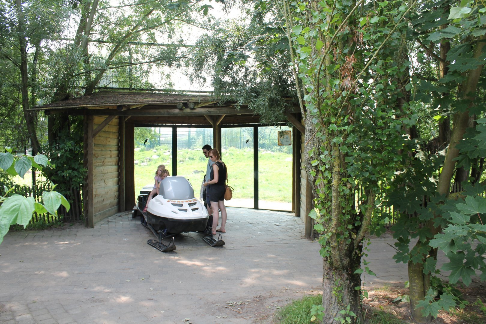 Viewing-spot Polar bear-enclosure