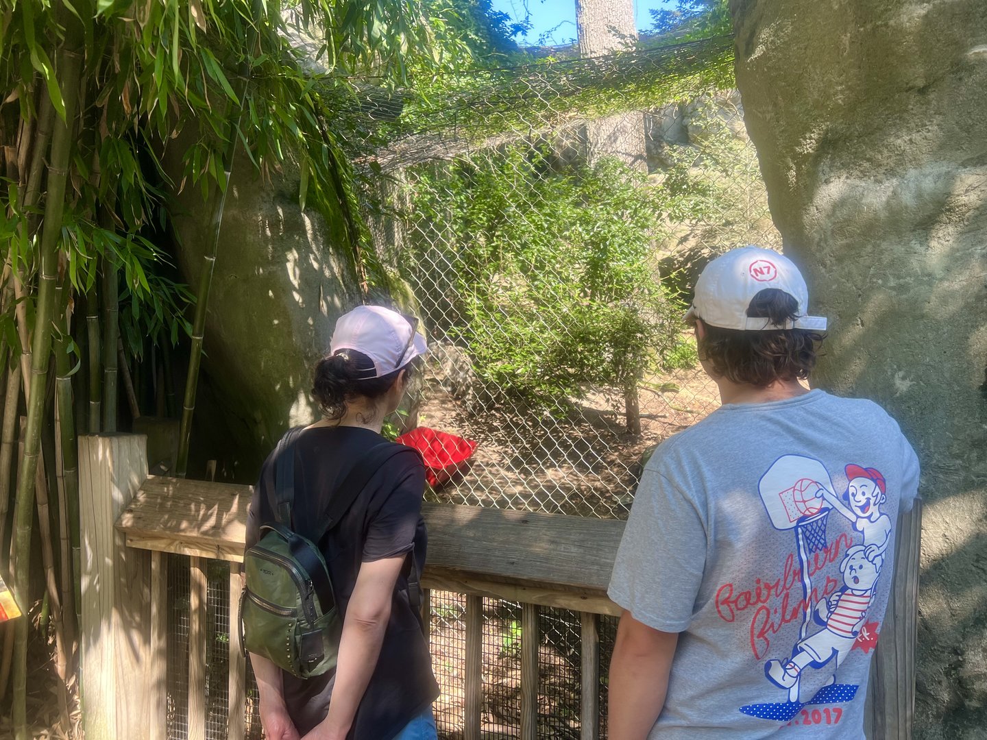 Viewing the Snow Leopard