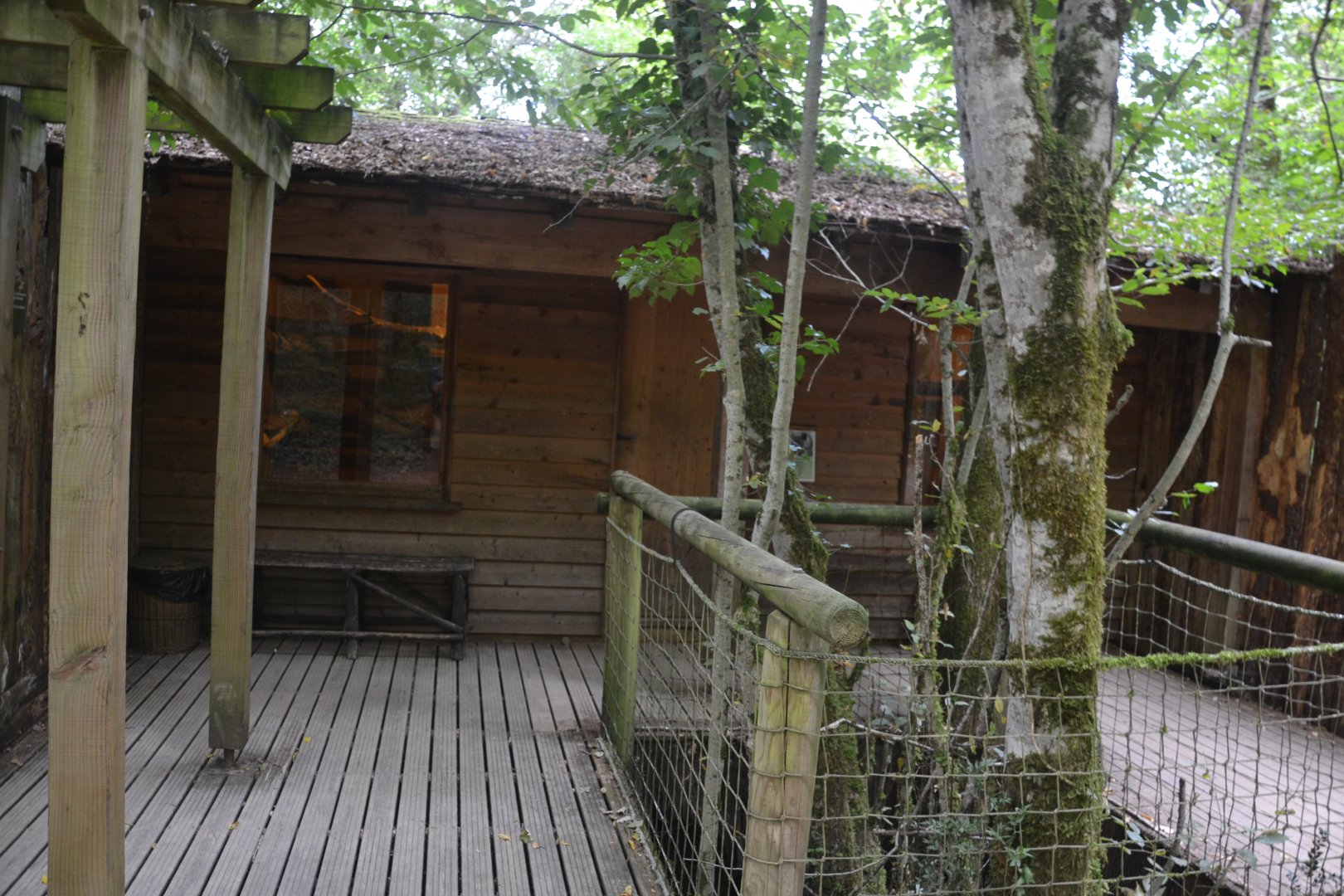 Viewing to fossa shelter area