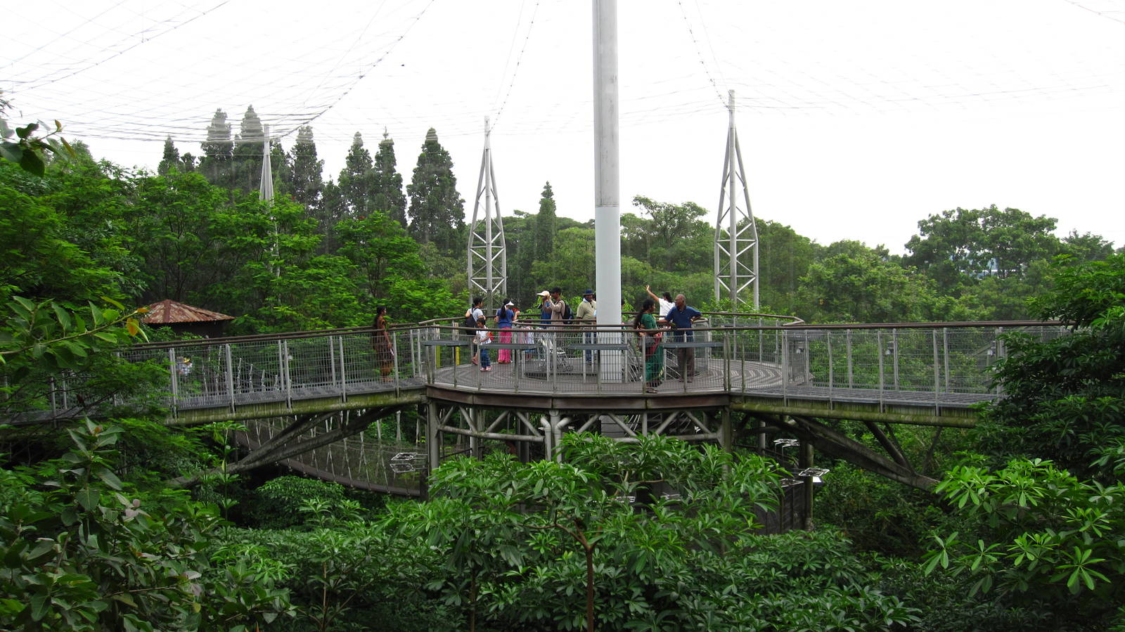 Viewing tower and link bridges, Lory Loft - Jurong Bird Park