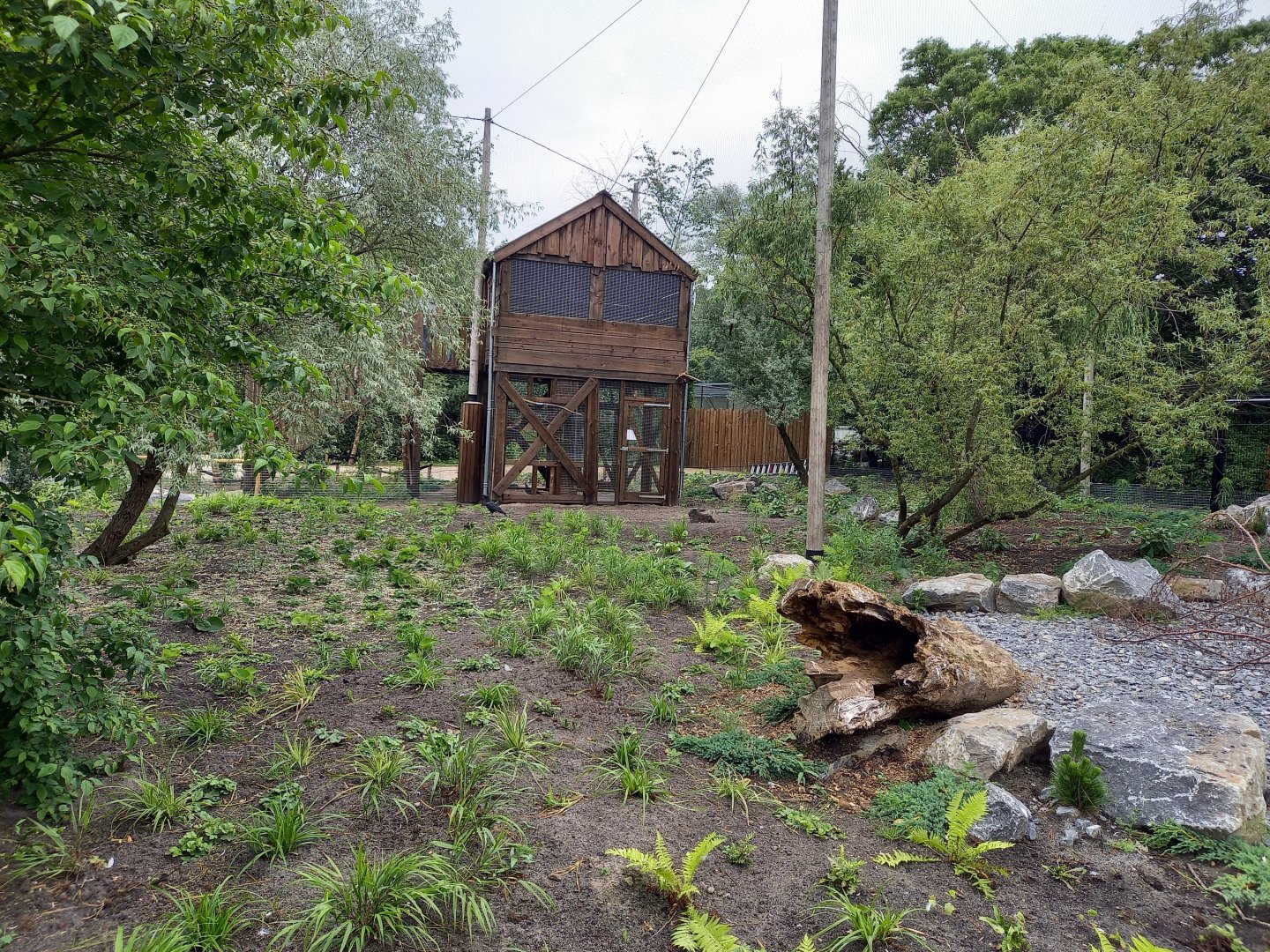 Viewing-tower new Steller's sea-eagle aviary