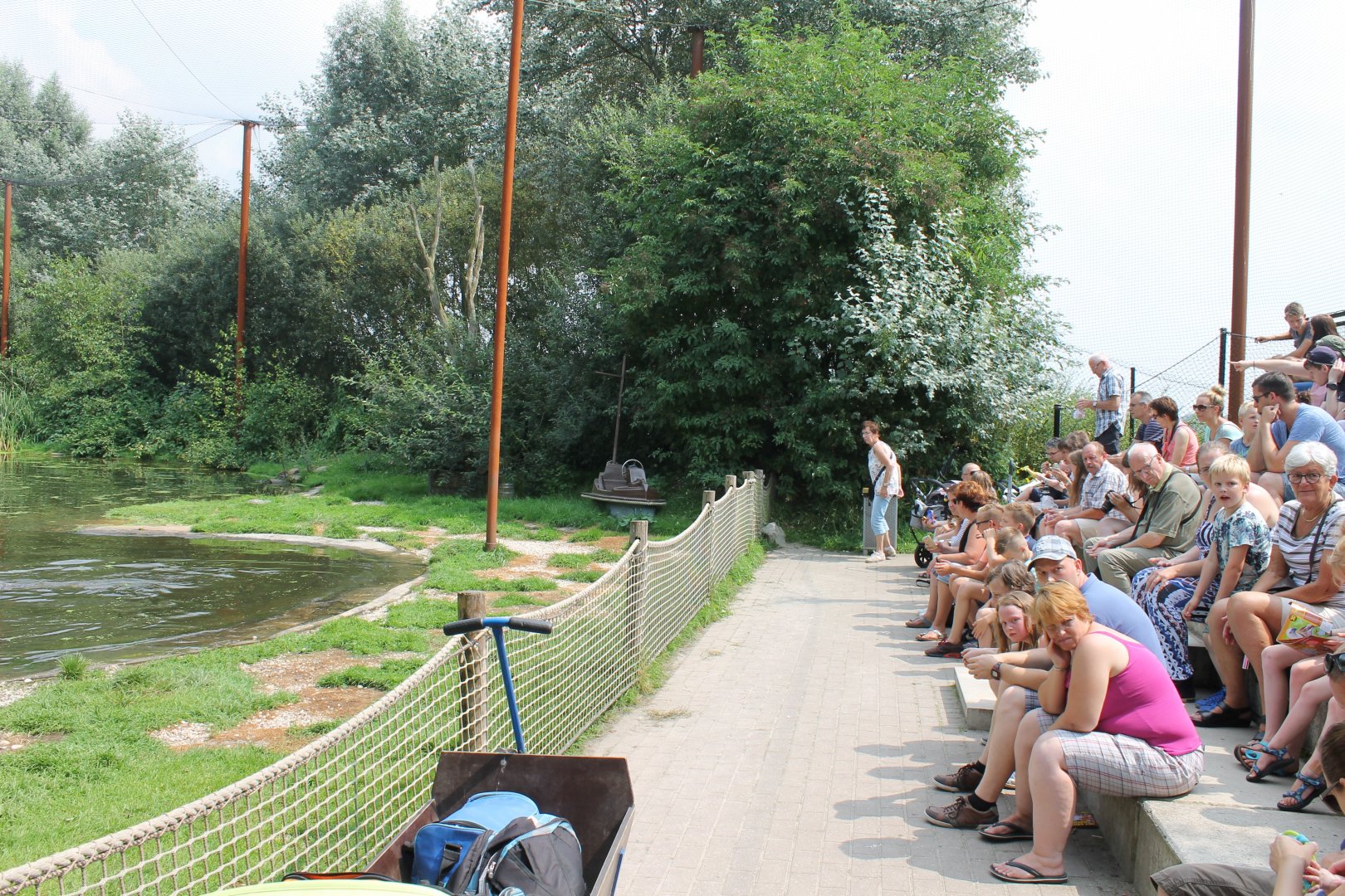 Viewing-tribune Harbour seals