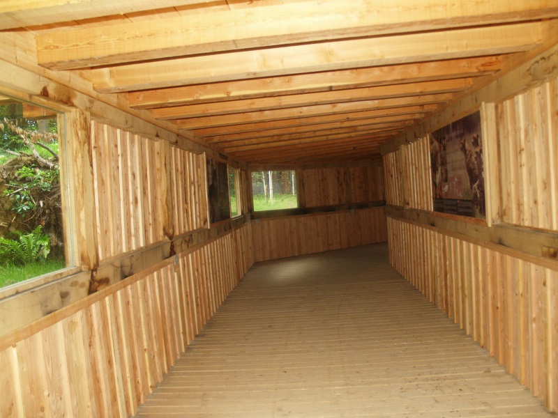Viewing tunnel underneath wolf enclosure (May 2nd, 2015)