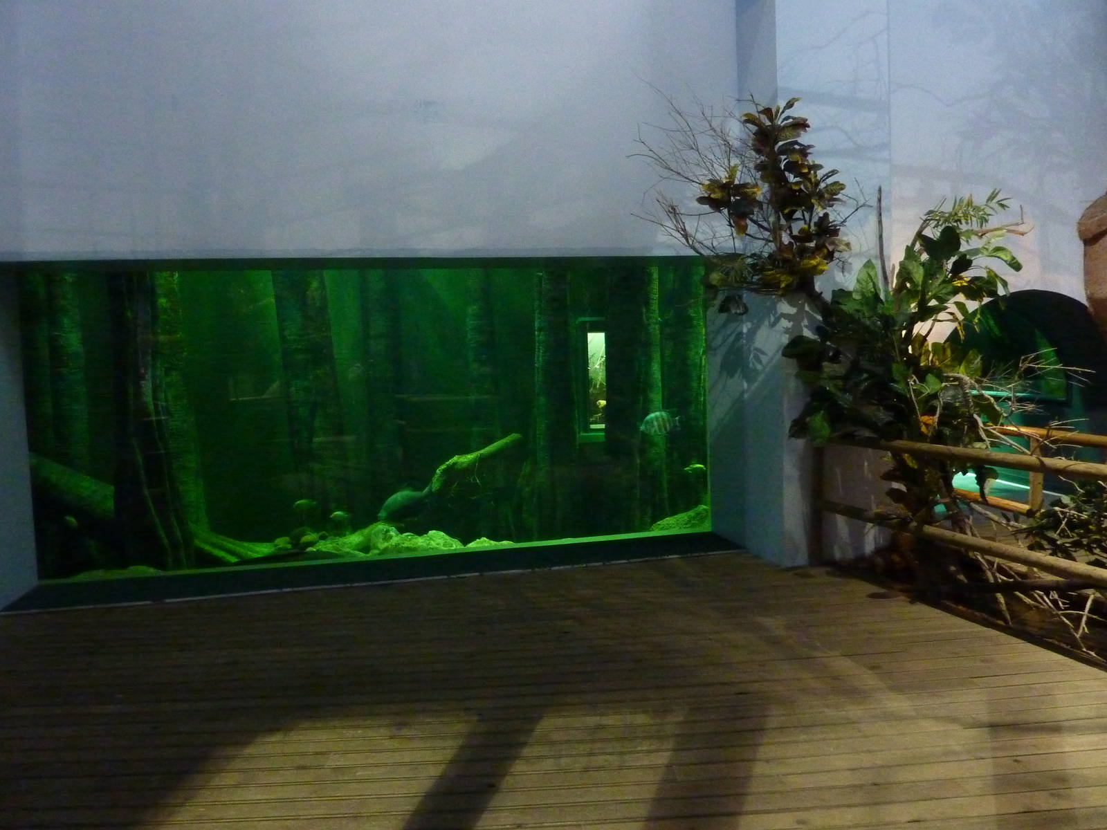 Viewing window, 10th April 2012