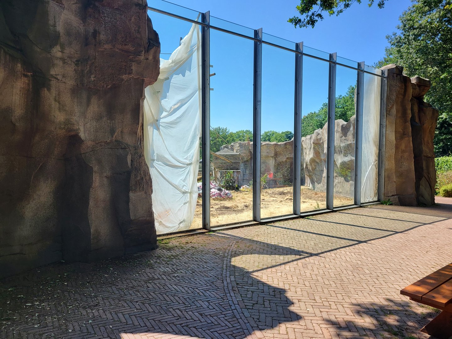 Viewing window Bonobo outdoor-enclosure