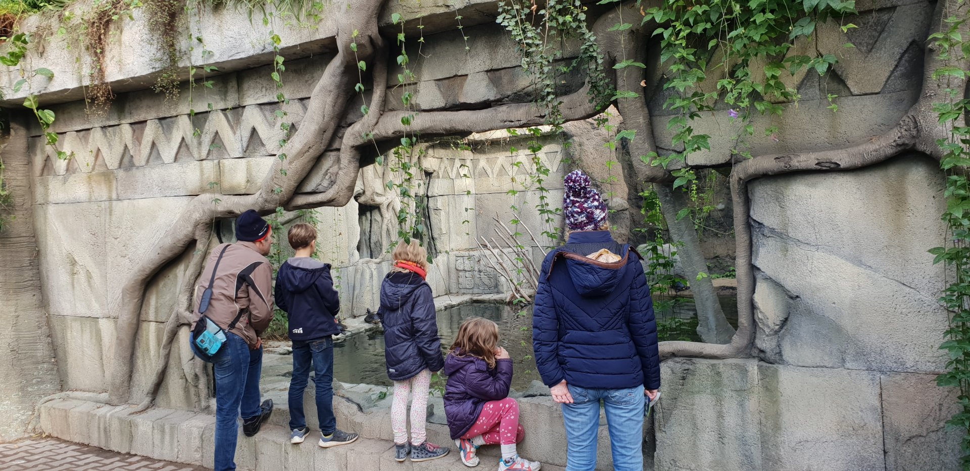 Viewing-window Caiman enclosure