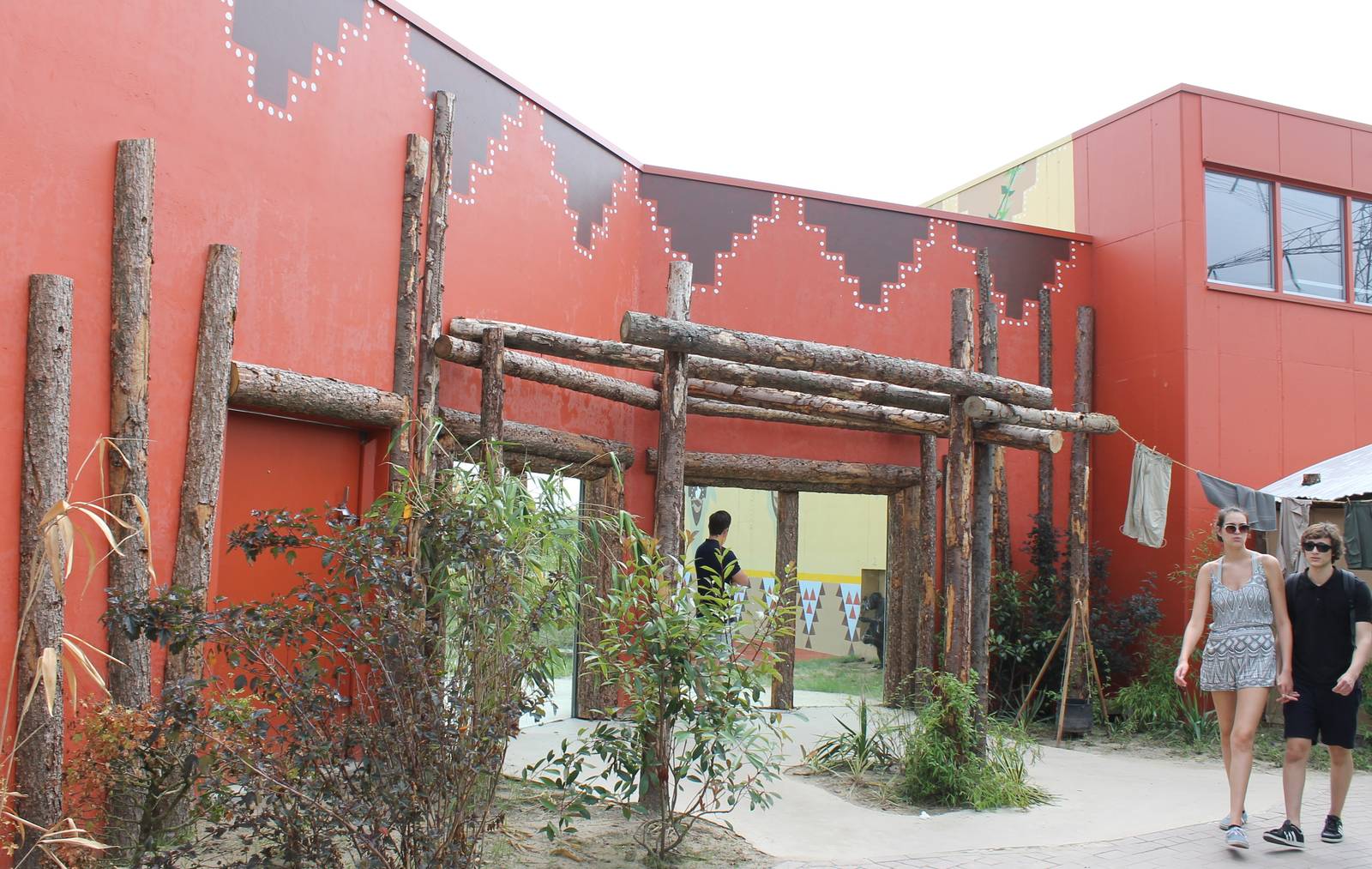 Viewing window chimps