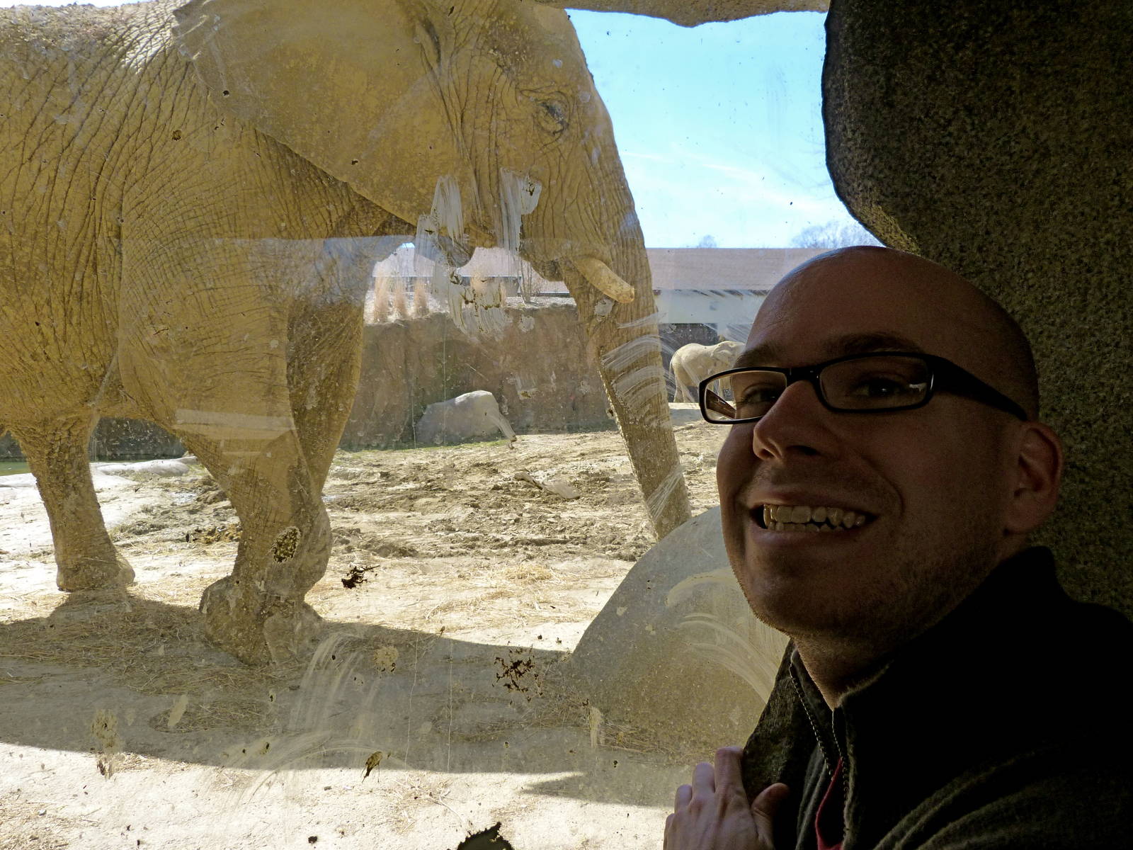 Viewing Window - Elephant Crossing