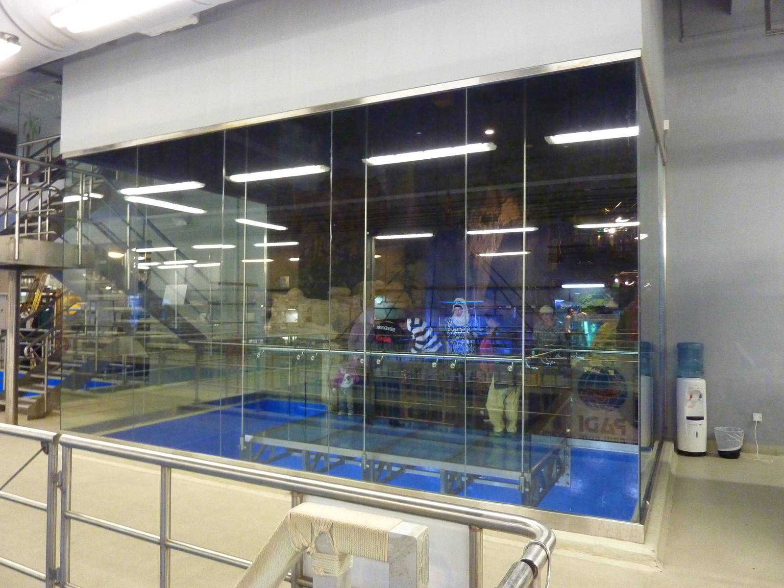 Viewing window from underwater zoo