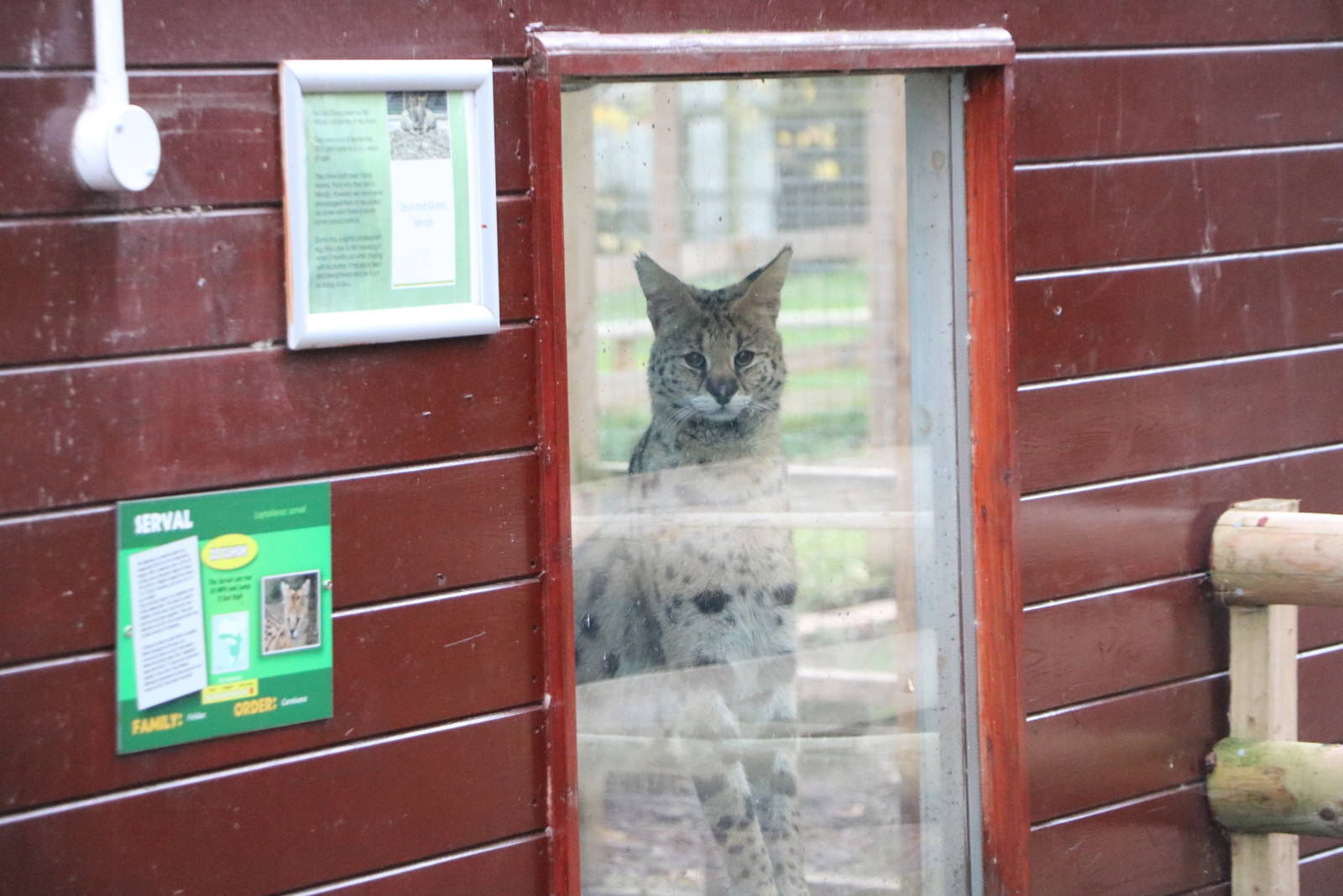 Viewing window in use, November 2015