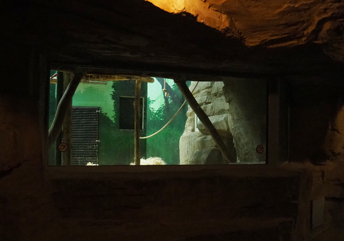 Viewing window into bonobo indoor housing in the cave under the African village, 2020-10-10