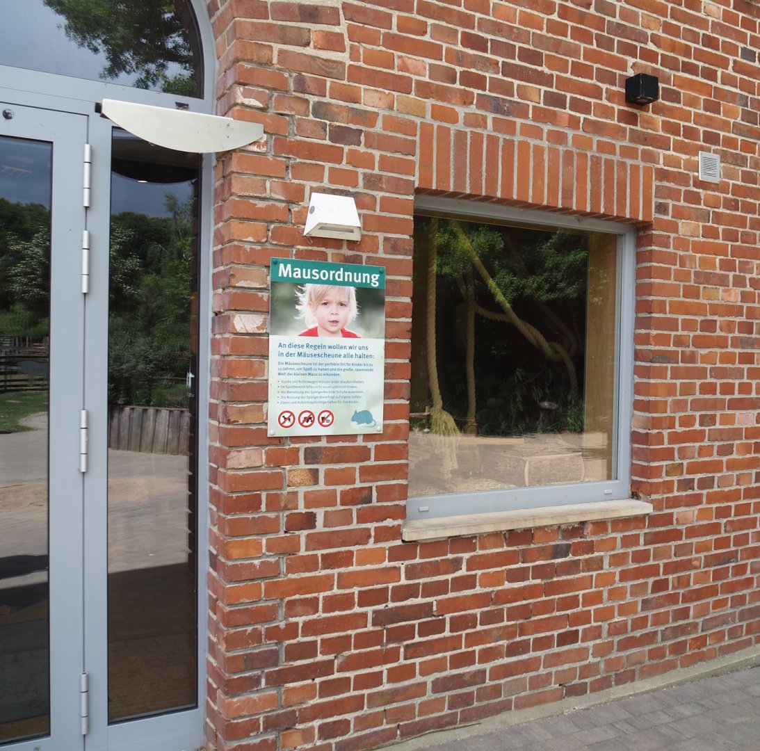 Viewing window into domestic fancy mouse exhibit in the "Mäusescheune" ("Mouse barn") indoor playground, 2025-05-22