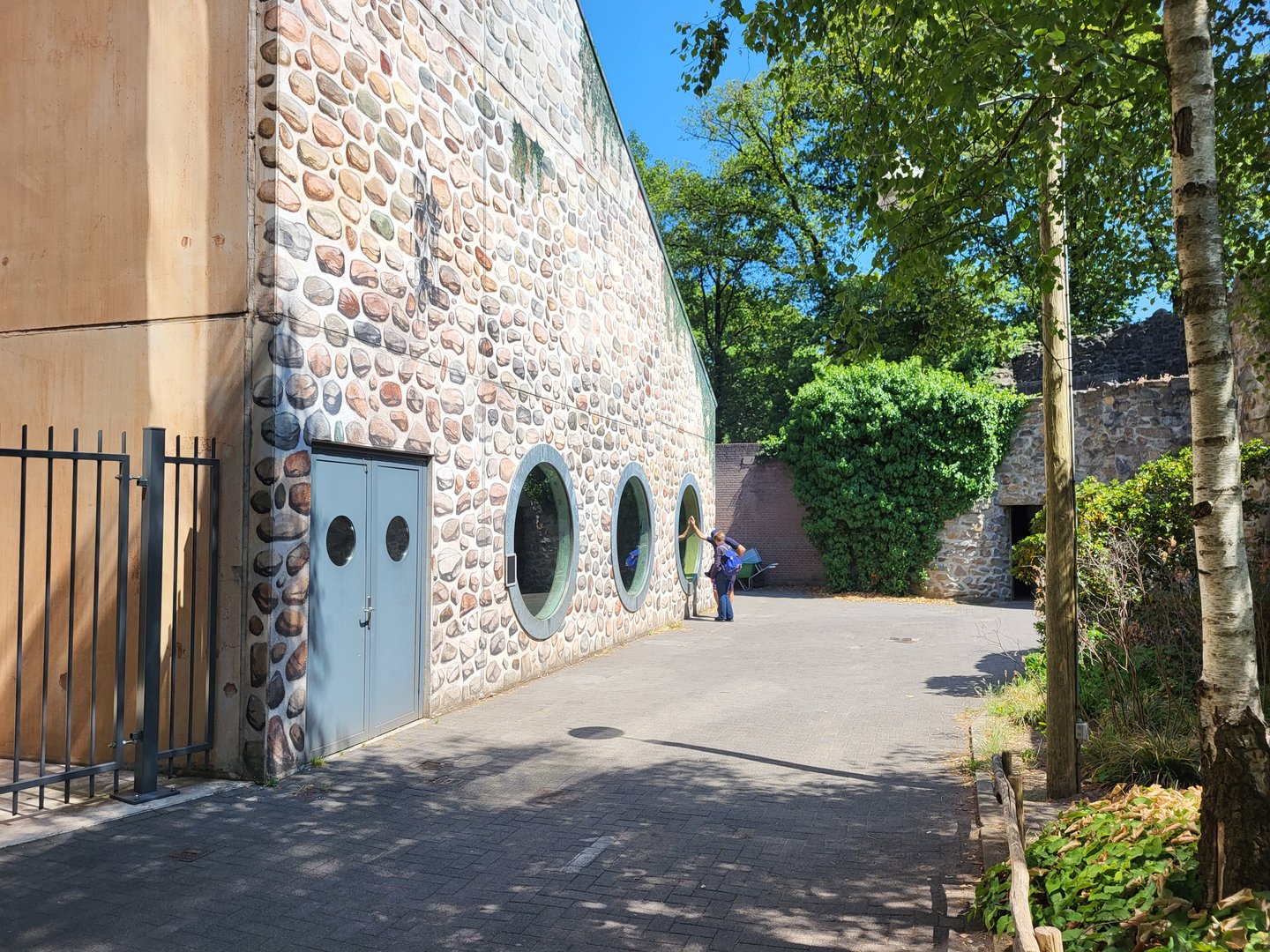 Viewing-window into Gorilla - Colobus indoor enclosure