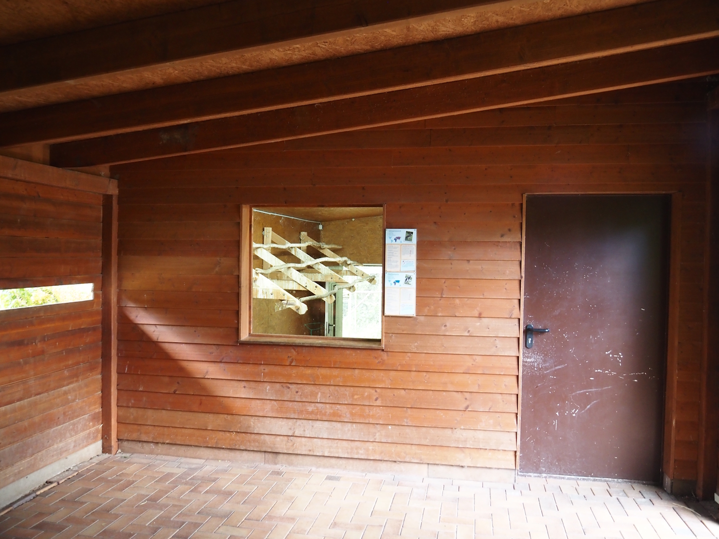 Viewing window into indoor exhibit for Abdim's and Black storks, 2025-05-22