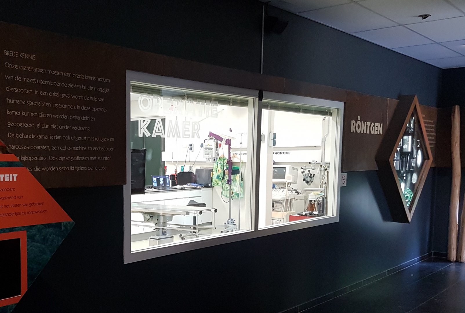 Viewing-window into the animal-hospital