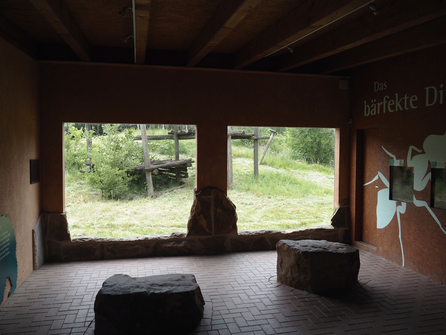 Viewing window into the Indian sloth bear and European golden jackal exhibit in the insect house, 2025-05-22