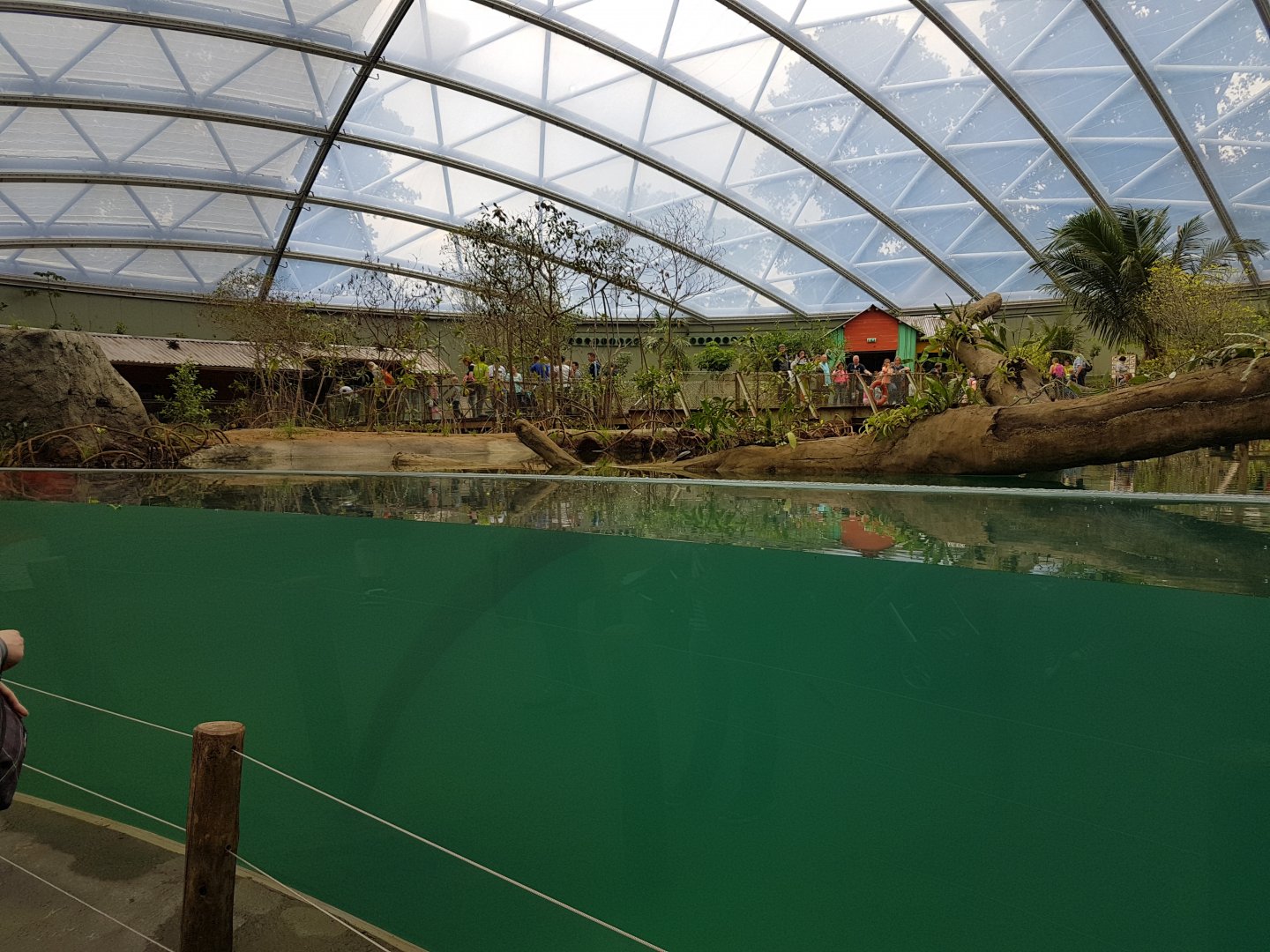 Viewing-window Manatee-enclosure