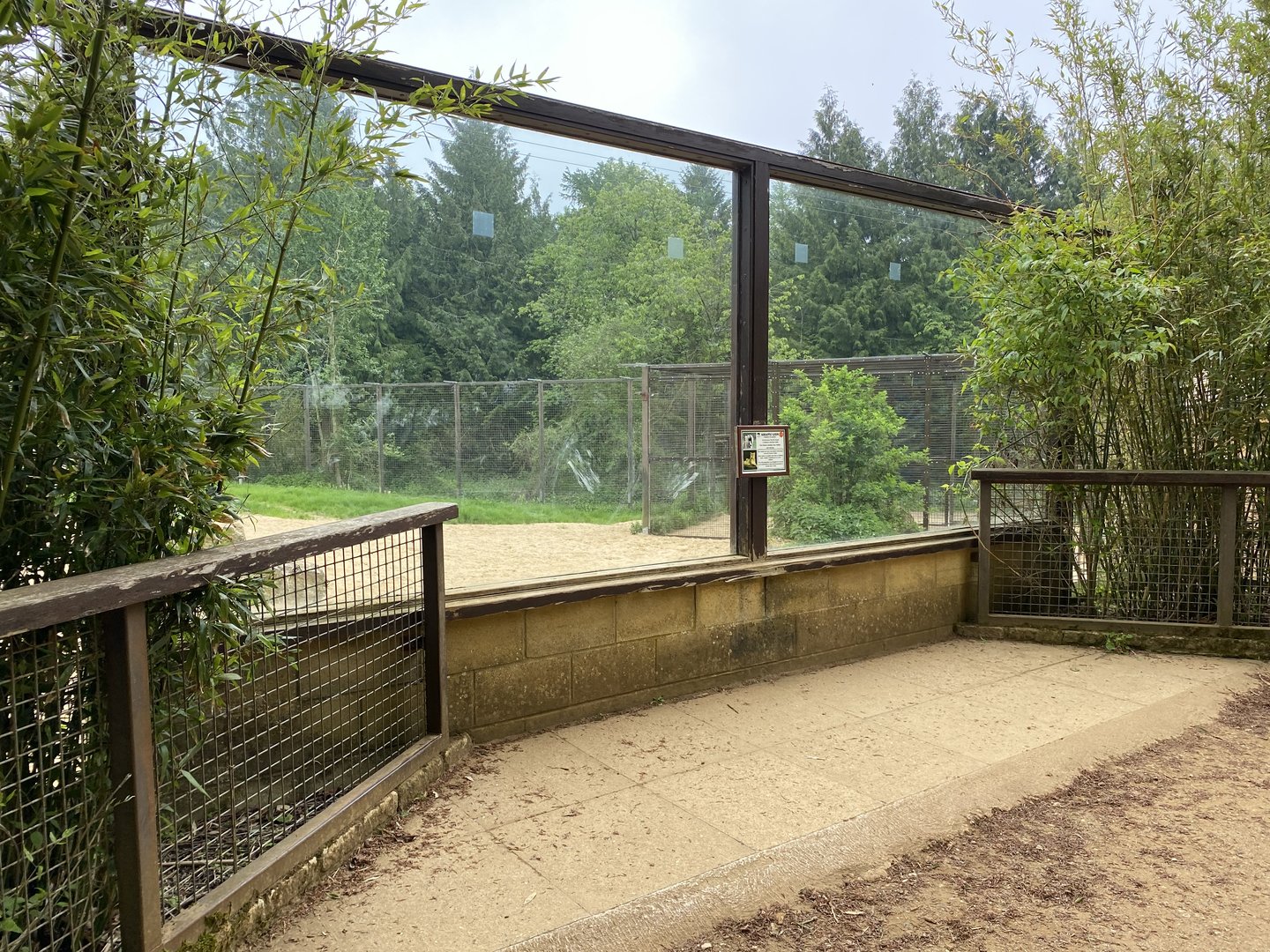 Viewing window near lion house CWP