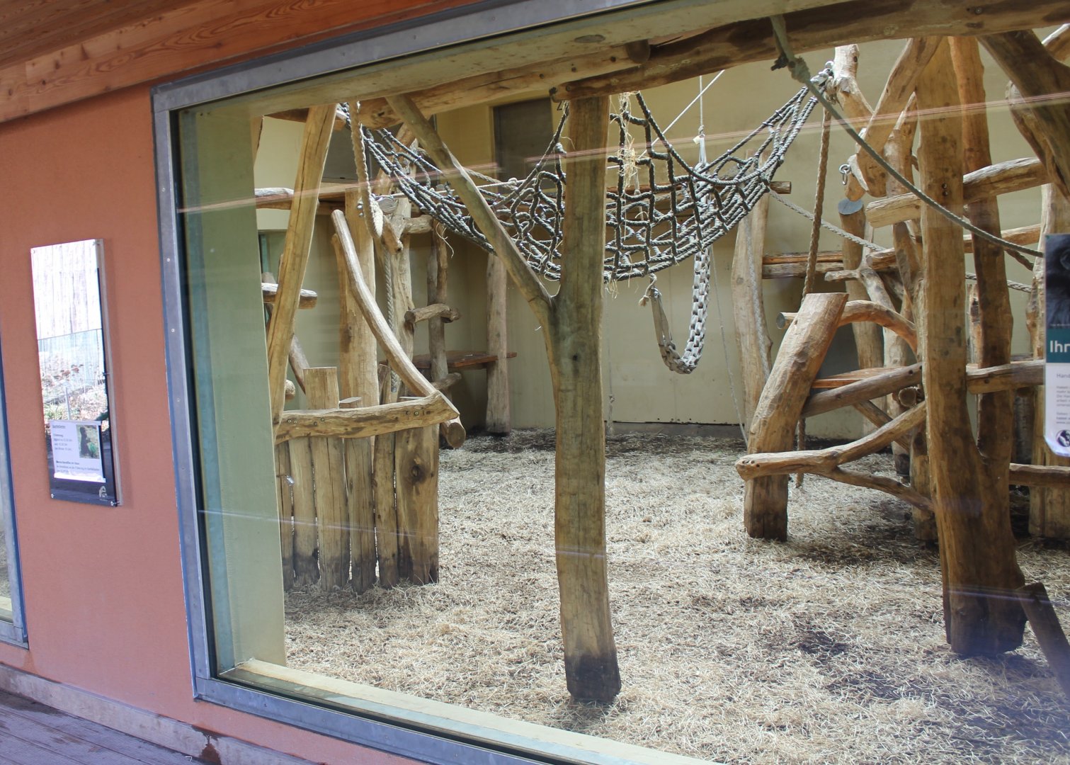 Viewing-window new Gorilla-indoor enclosure