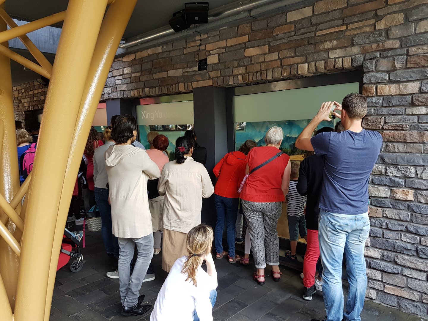Viewing-window one of the Panda-indoor enclosures