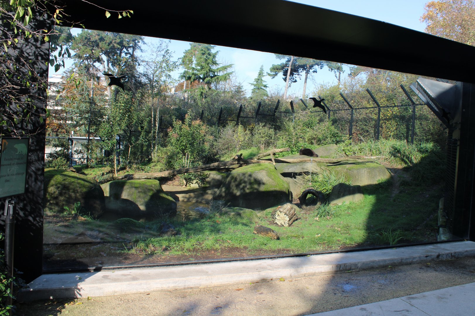 Viewing-window Wolverine-enclosure