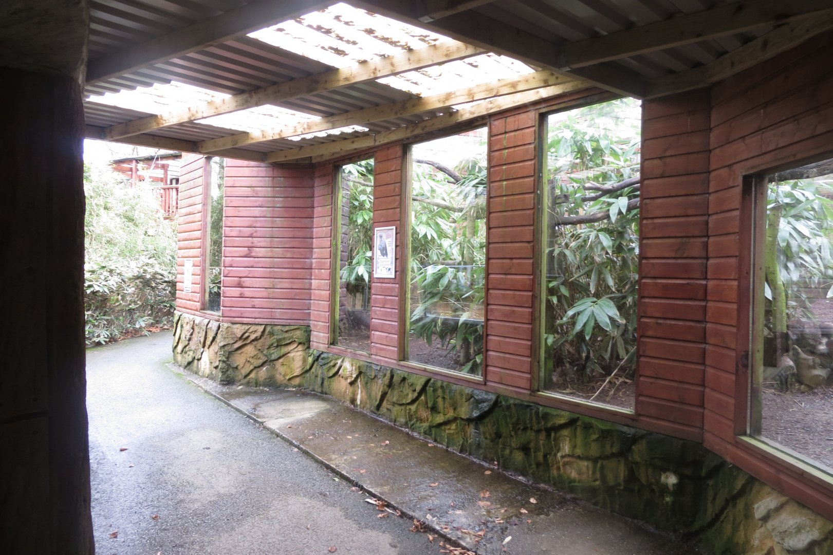Viewing window - Yellow-throated marten enclosure 040319