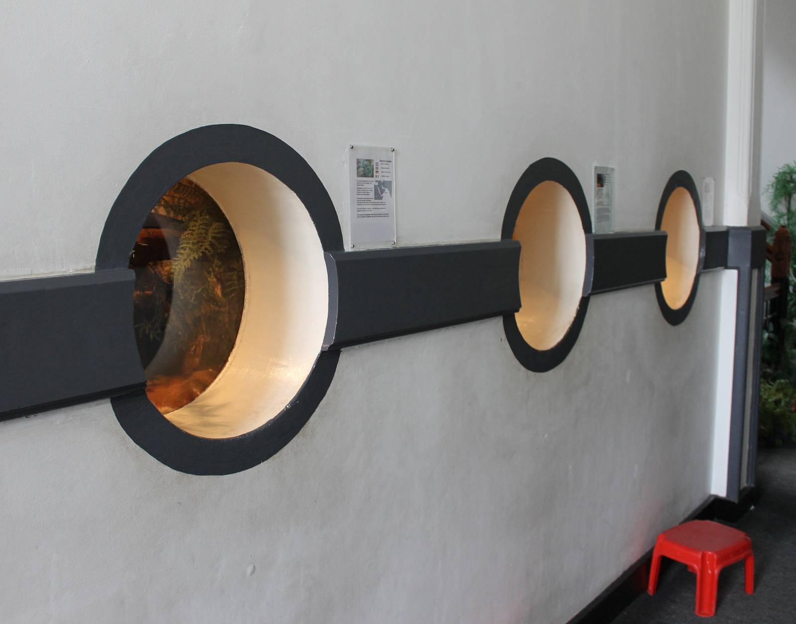 Viewing-windows enclosures