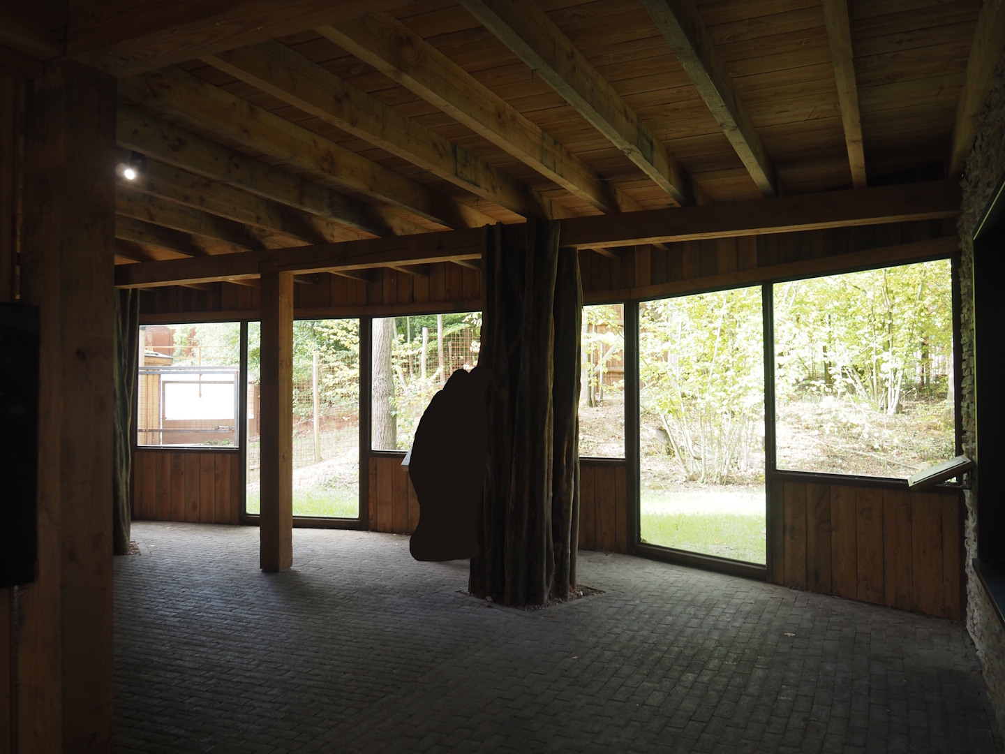 Viewing windows for pygmy hippopotamus land area extension, 2025-09-30