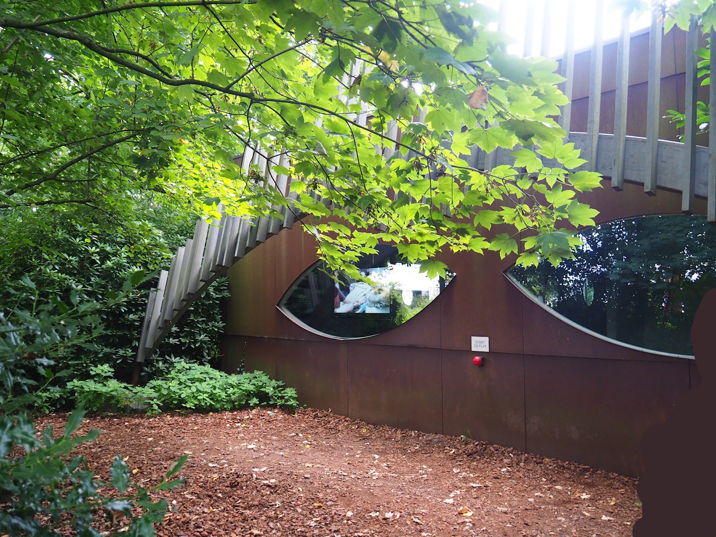 Viewing windows for veterinary clinic, 2023-08-17