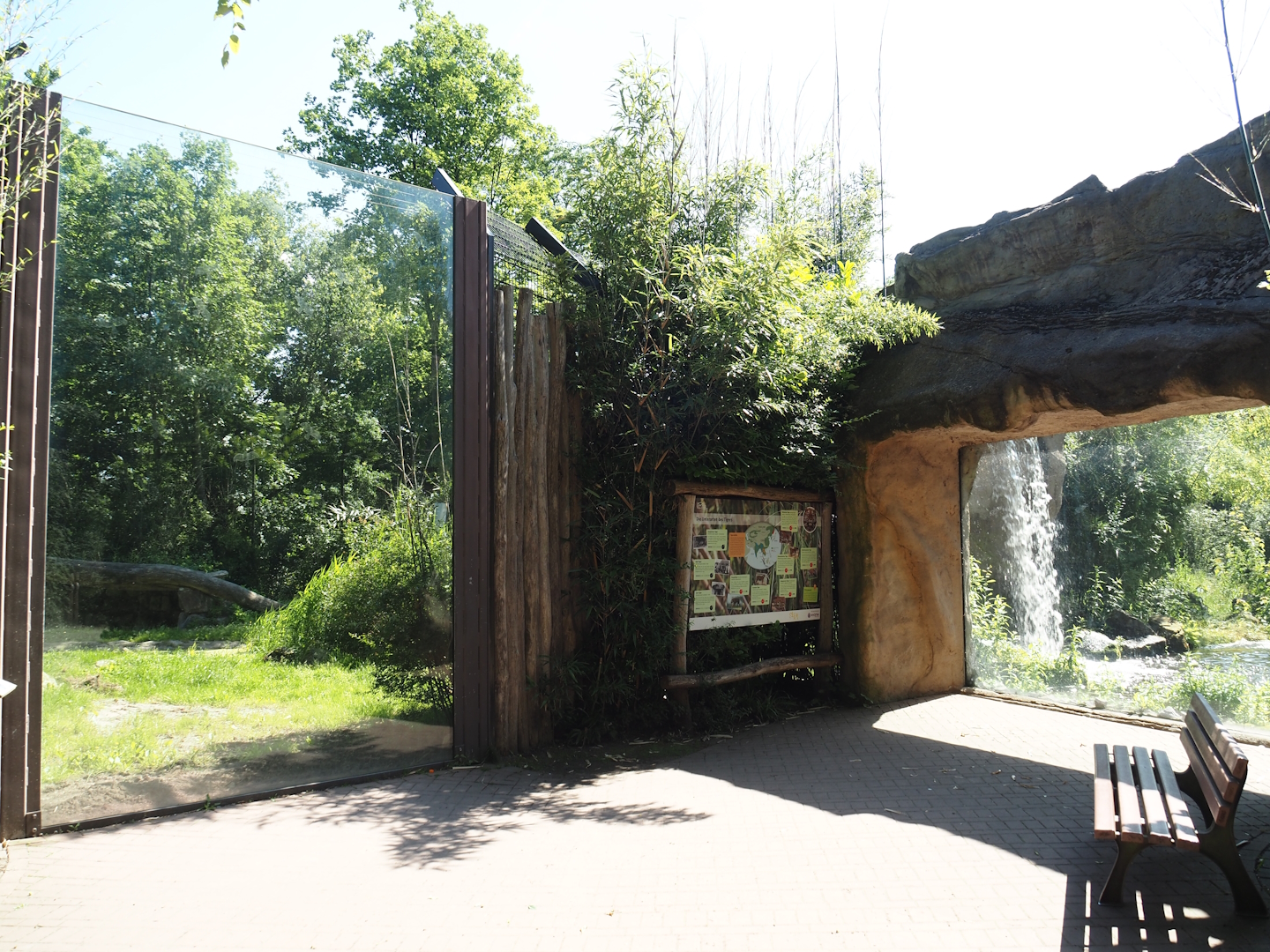 Viewing windows into Amur tiger exhibits, 2024-06-08