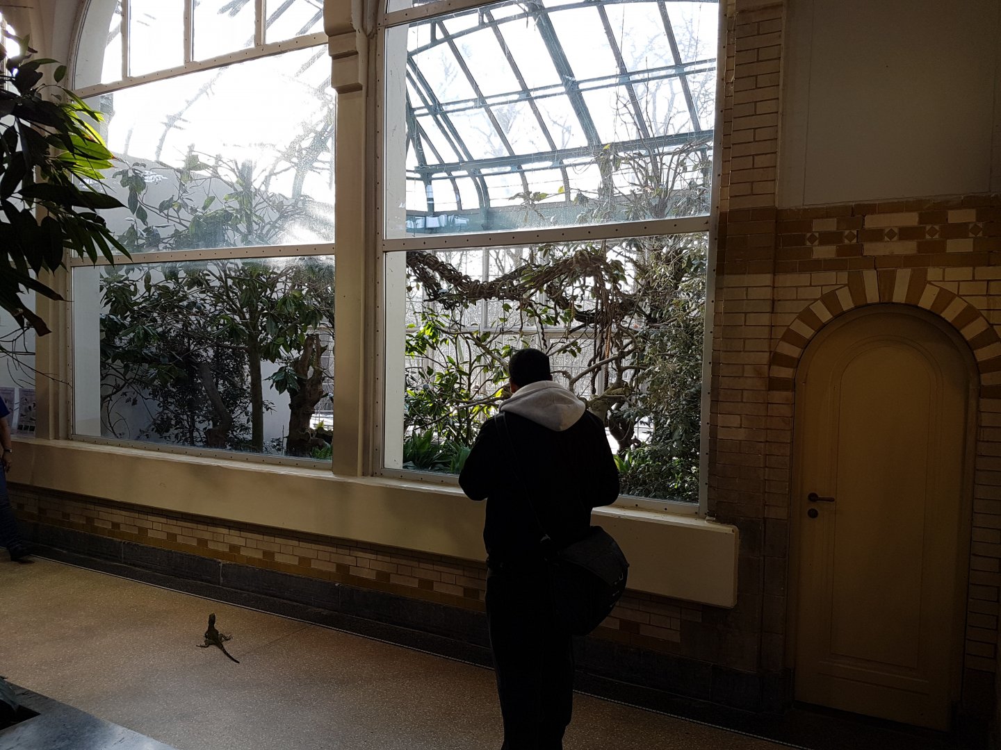 Viewing-windows into Outdoor-enclosure