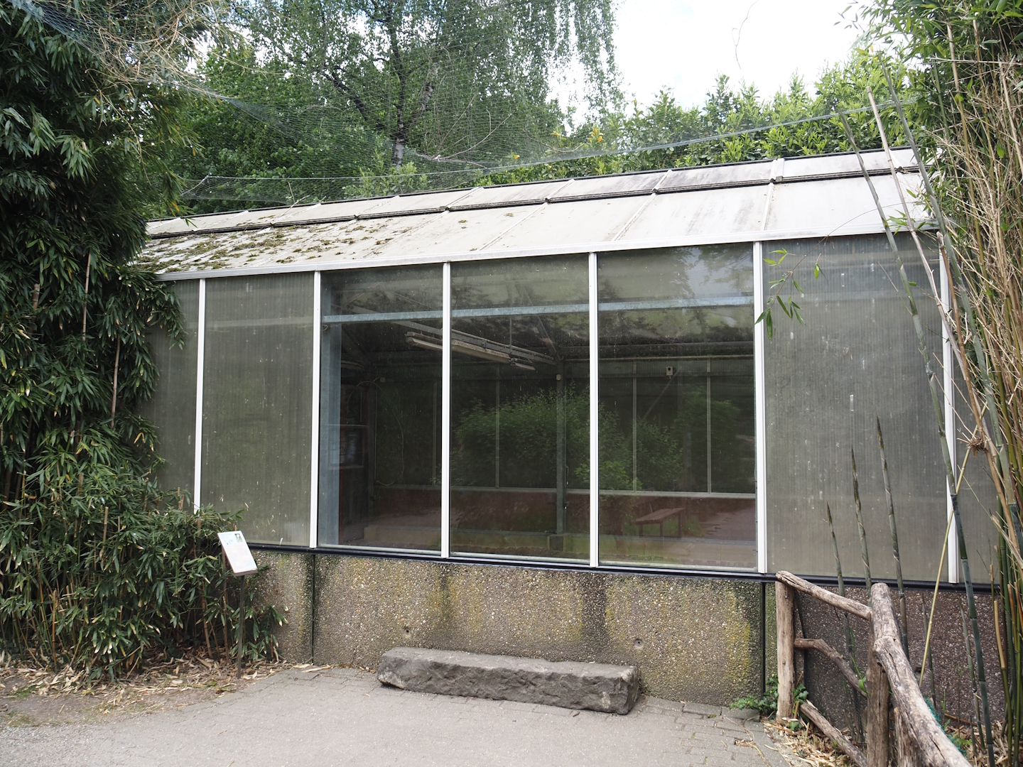 Viewing windows into the Chilean flamingo indoor exhibit, 2025-05-22