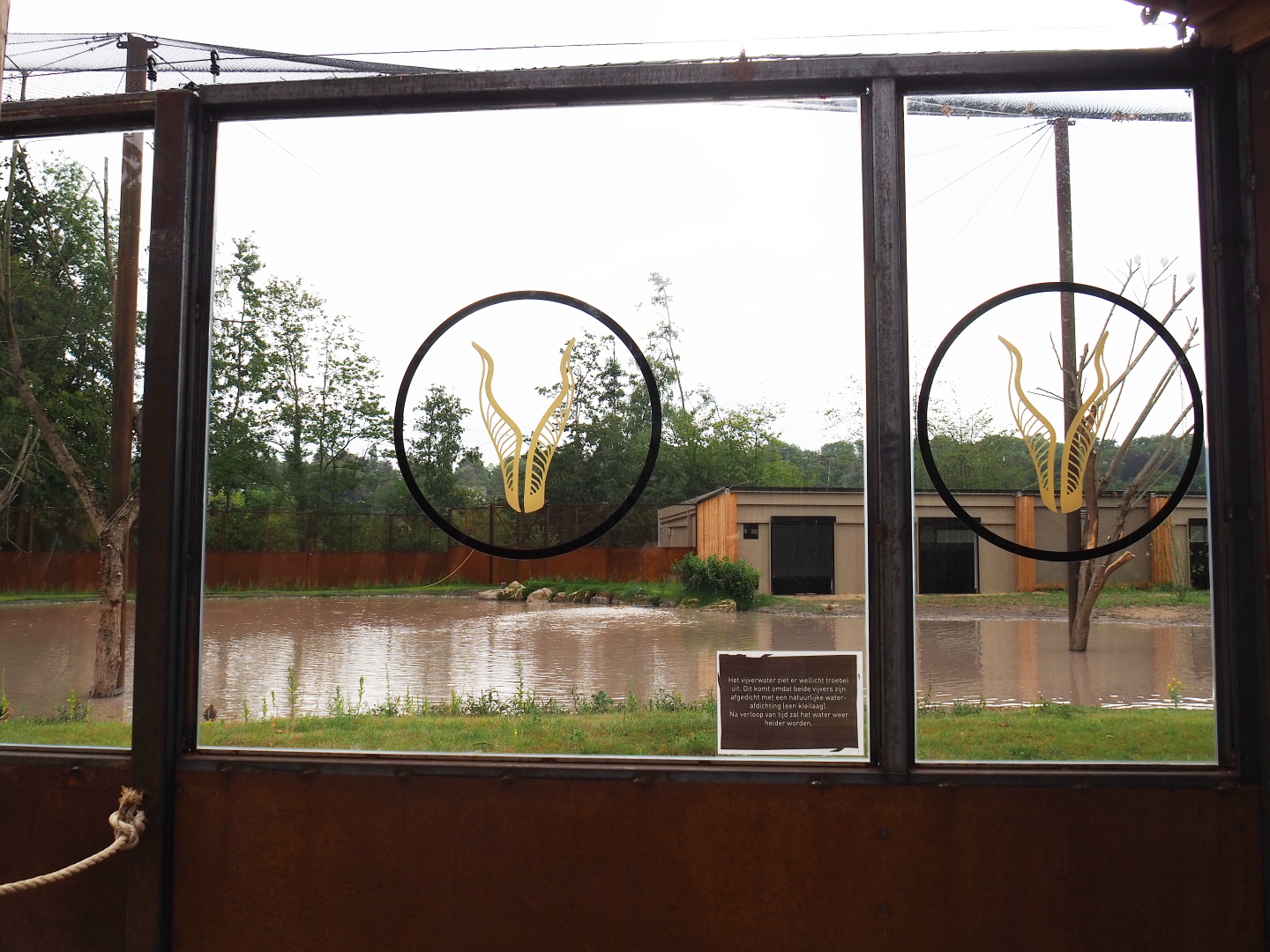Viewing windows into the new greater flamingo aviary, 2019-07-21
