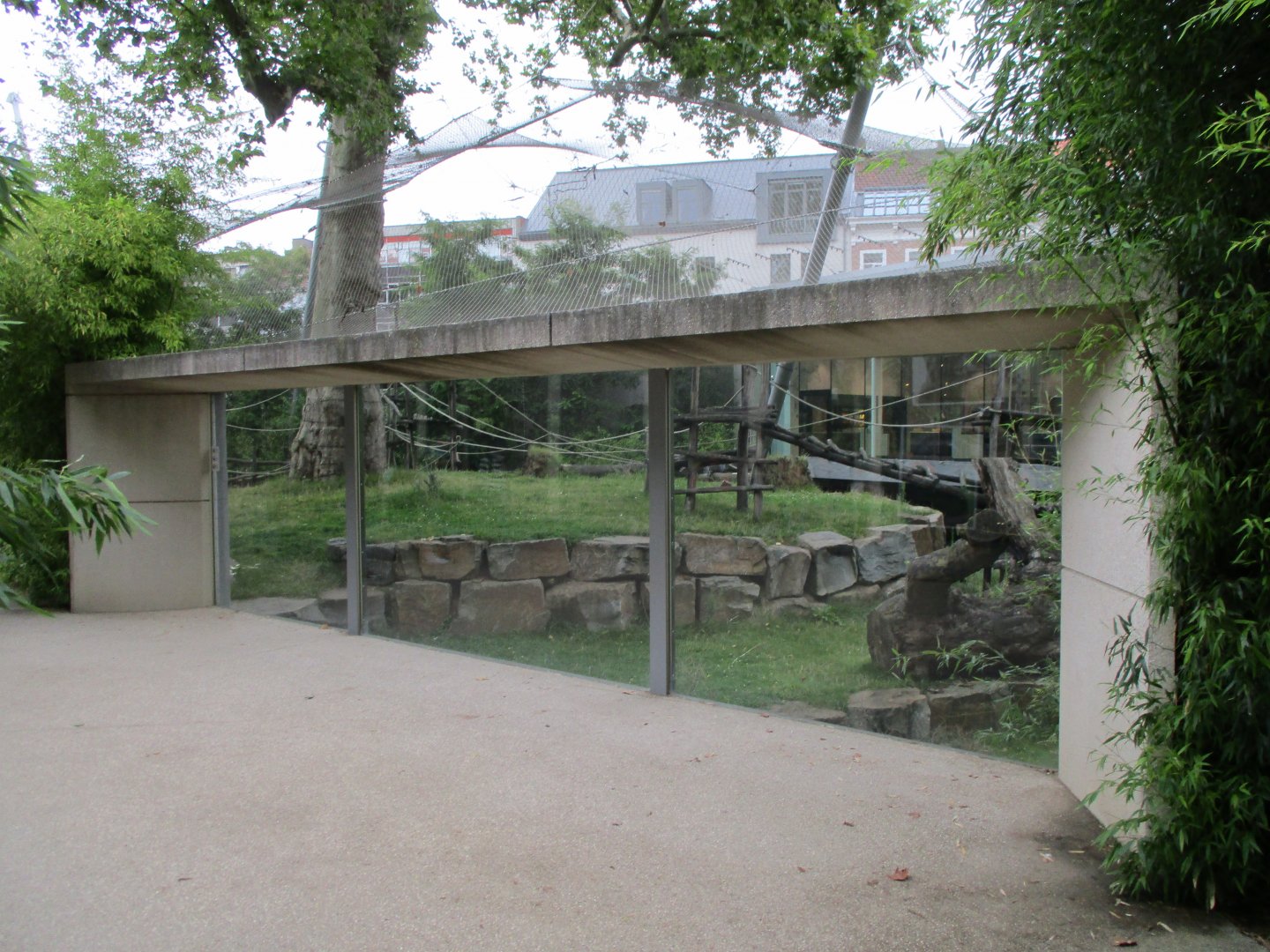 Viewing windows on the gorilla enclosure.