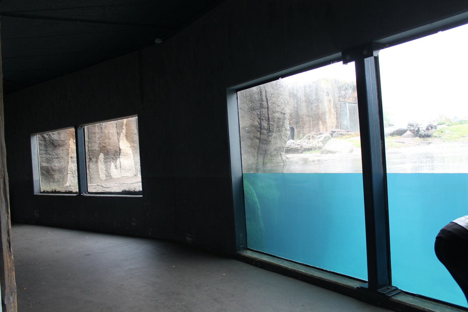 Viewinginto Polar bear-enclosure