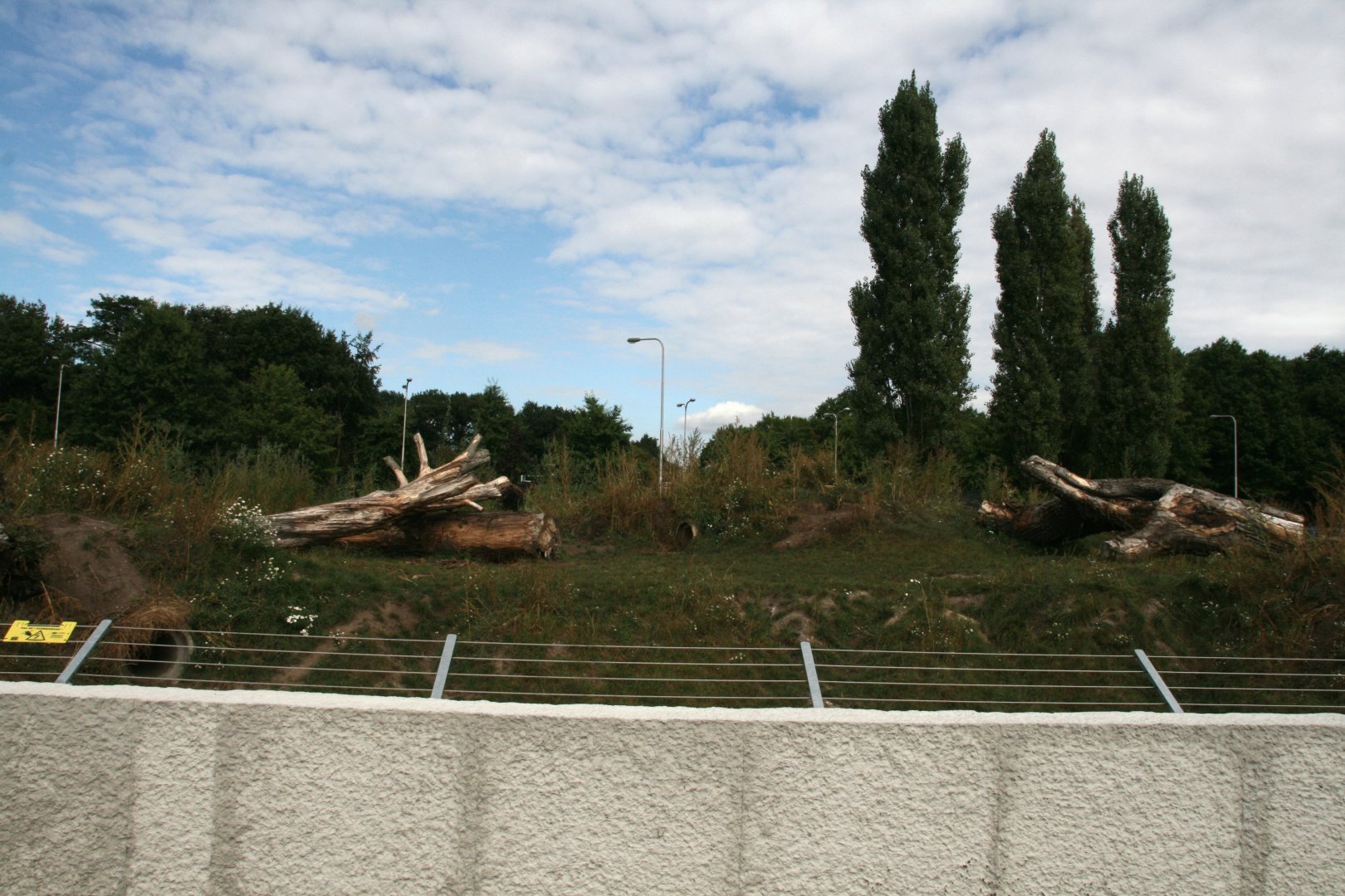 Viewpoint in the new Spotted hyena enclosure