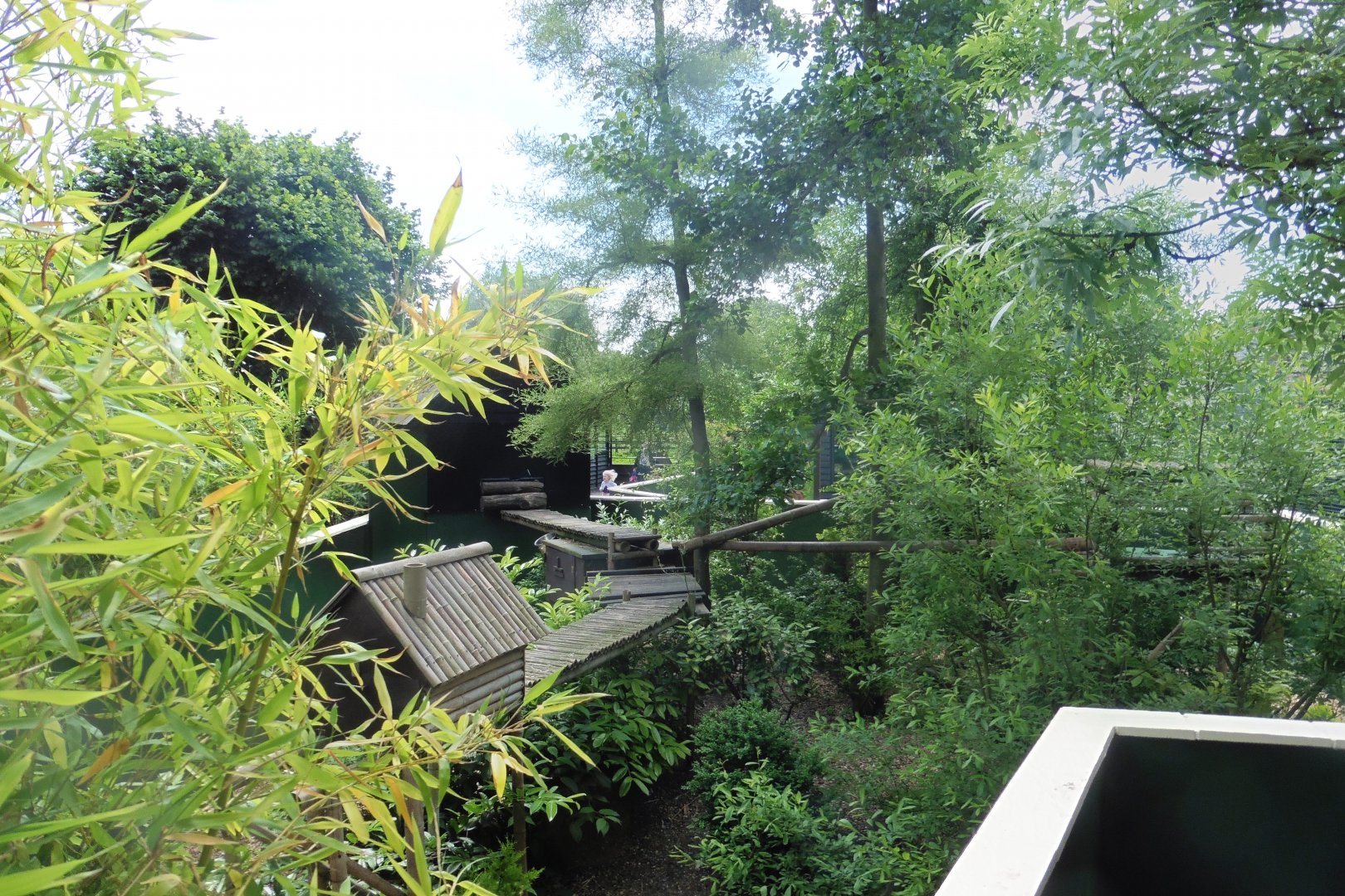 Views from above the Nocturnal House over the park