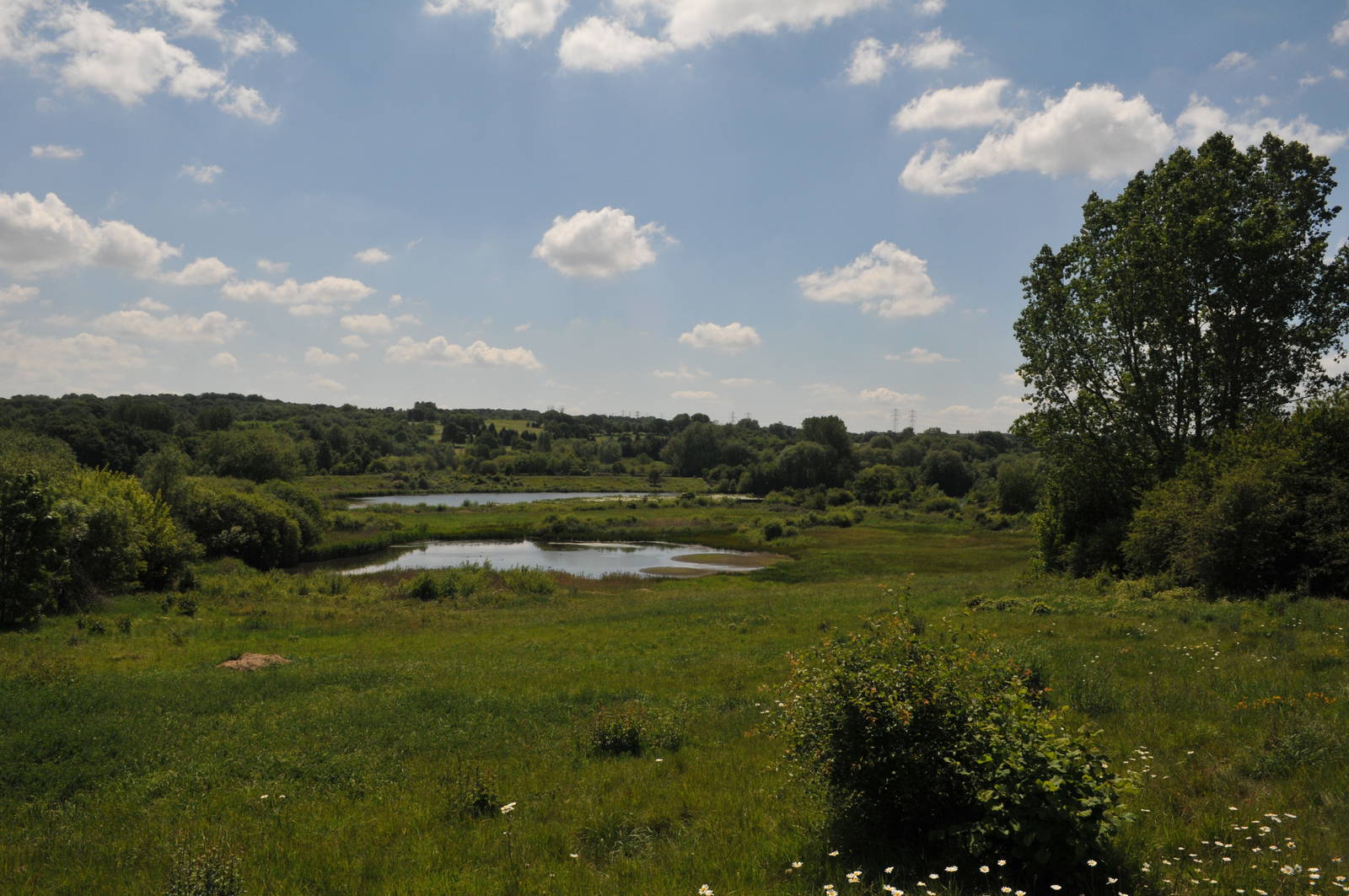 Views from the old club house