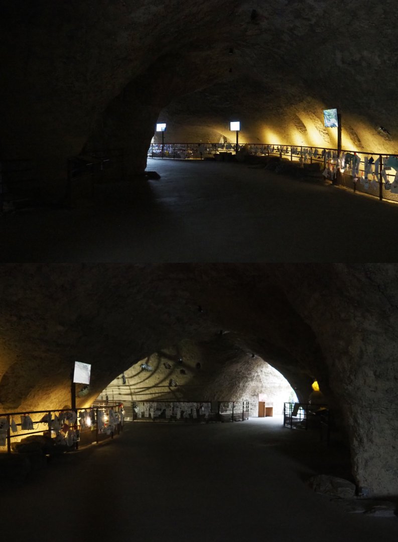 Views in the Giant panda cave, 2020-09-03