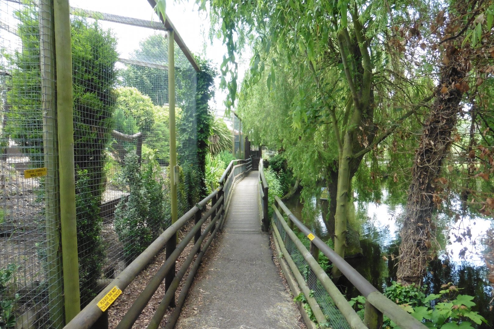 Views of Owl aviaries